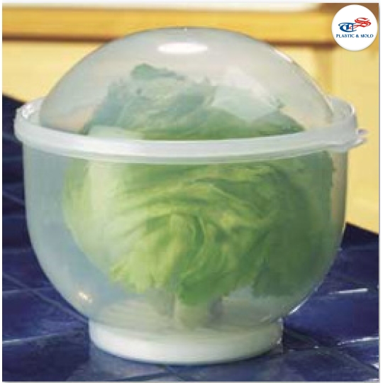 VEGETABLE CONTAINER WITH AIRTIGHT LID